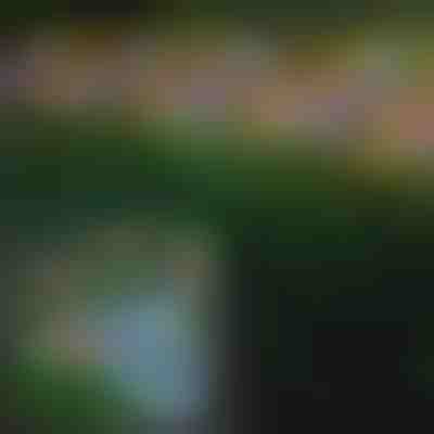 Solarna vanjska svjetla s leptirima | FLUTIX