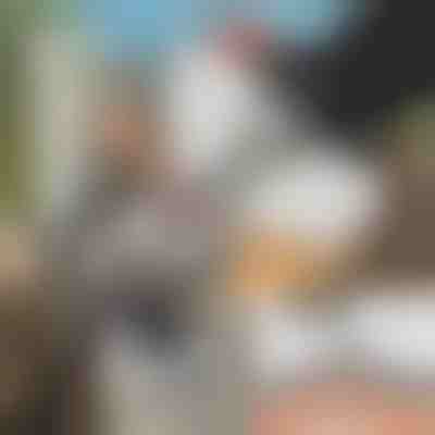 Specijalni alat za brušenje lanca motorne pile + brusilica GRINNEX