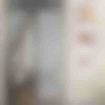 Magnetna mreža protiv komaraca | INSECTPROTECT