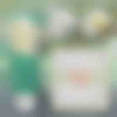 Instantno rješenje za popravak zidova | WALLFIX