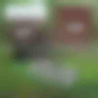 Višenamjenski vrtni alat za održavanje tla | PRONGSPRO