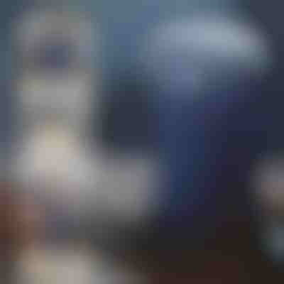 Električni mlinac | GRIDZ