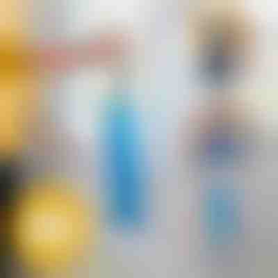 Četka za prašinu sa dugim dosegom | DUSTOFF