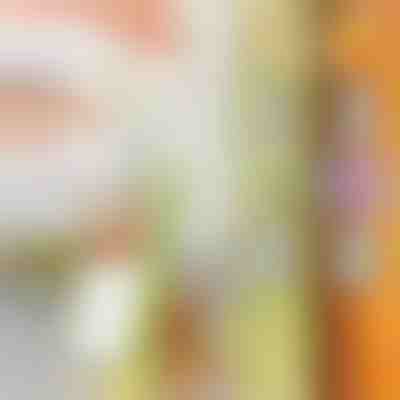 Višenamjenska sjeckalica | SLICEWISE