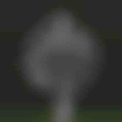 Čarobna vrtna kinetička vjetrenjača | WINDARA