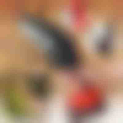 Električna ručna pila BRENCHIE