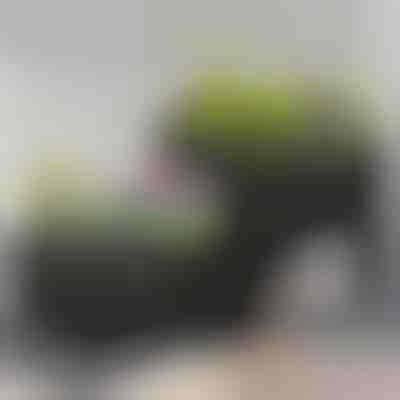 Kutije za vrtlarstvo | BOTANITKO