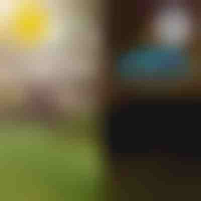 Svjetla za tropski vrt na solarni pogon | LUMIPALM