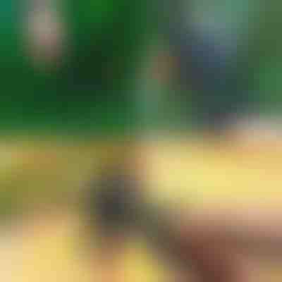 Profesionalne škare za rezidbu i cijepljenje 2-u-1 | MASTERCUT