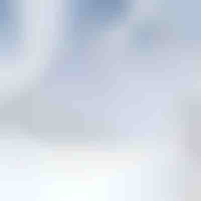 Magnetska zaštita vjetrobranskog stakla od snijega | FROSTCOVER