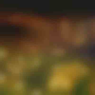 Vrtne solarne svjetiljke (toplo svjetlo) | SOMPEX