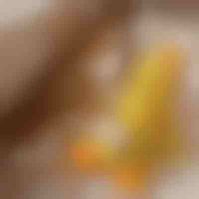 Umirujuća plišana igračka za pse sa zvukom kvakanja - smanjuje tjeskobu odvajanja | CALMQUA